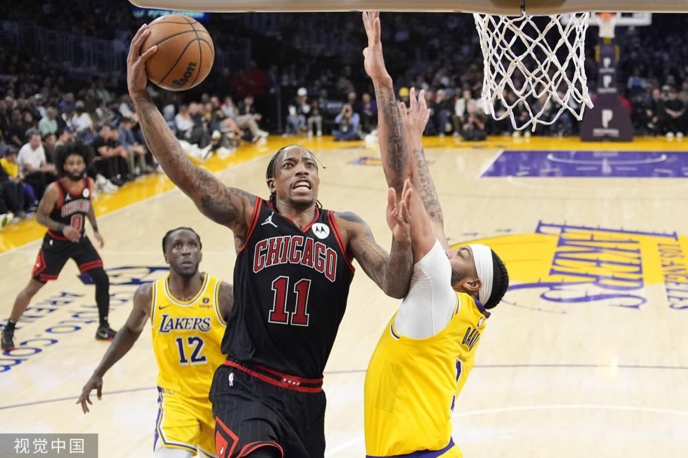 选择美国作 选择美国作