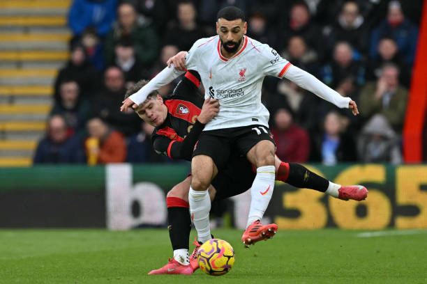 科曼若选择 科曼若选择