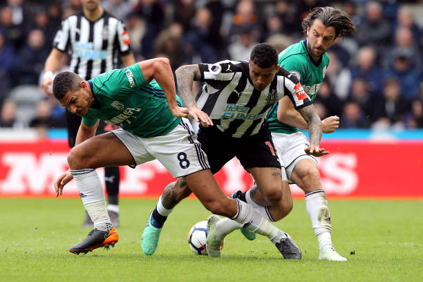 他们完全有 他们完全有